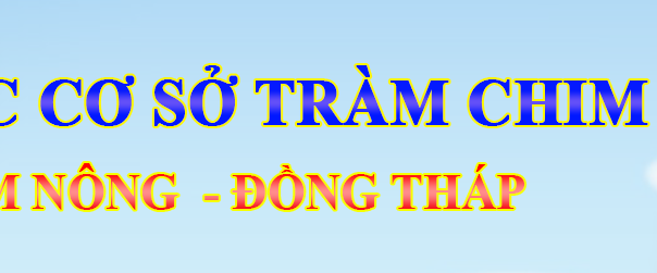 BANNER THCS TRAM CHIM TN